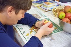 09_susime_ovocie.jpg||