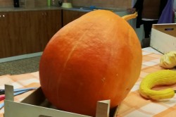 02_tvorive_jesenne_dopoludnie_i.jpg||