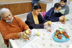 02___jablkova_strudla.jpg||