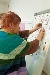 11___radi_sa_hrame.jpg||