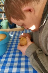 02_zemiakova_spirala_pc.jpg||