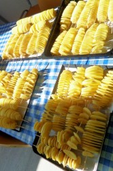 12_zemiakova_spirala_pc.jpg||