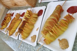 17_zemiakova_spirala_pc.jpg||