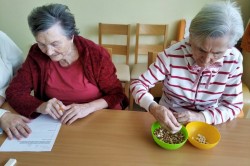 08___opakovanie___kluc_k_pamati_pc.jpg||