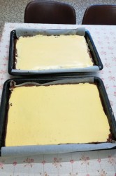 11_zltkovy_rez_pc.jpg||