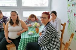 07_liecive_bylinky_pc.jpg||