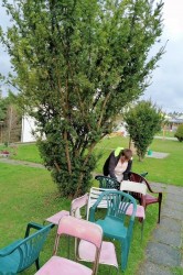 07___upratovanie_altanku_pc.jpg||