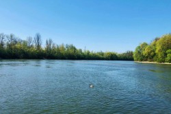 16_navsteva_budatinskeho_parku_pc.jpg||