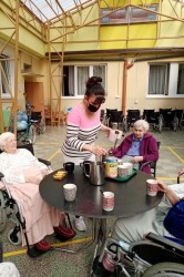 07_posedenie_pri_k_vi_ke.jpg||