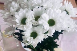 02_spolocna_oslava_k_pc.jpg||