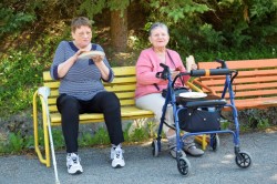 10_spolocna_opekacka.jpg||