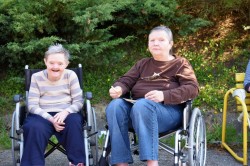 12_spolocna_opekacka.jpg||