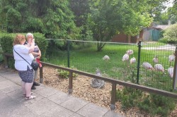 06___vylet_zoo_pc.jpg||