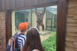 07___vylet_zoo_pc.jpg||