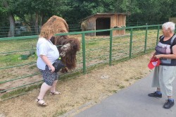 09___vylet_zoo_pc.jpg||