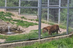 17___vylet_zoo_pc.jpg||