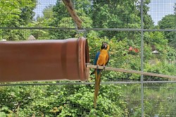 24___vylet_zoo_pc.jpg||