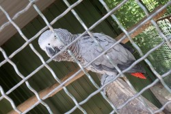 27___vylet_zoo_pc.jpg||