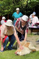 16_zazriva_pss_pc.jpg||