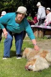 17_zazriva_pss_pc.jpg||