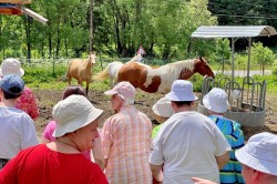 34_zazriva_pss.jpg||