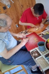 05_bylinky_jablka.jpg||