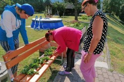 04_chystame_sa_na_zimu.jpg||