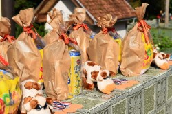 01_sportov_dopoludnie.jpg||