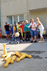 06_sportov_dopoludnie.jpg||