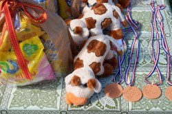 21_sportov_dopoludnie.jpg||