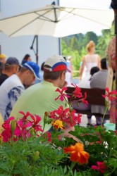 25_sportov_dopoludnie.jpg||