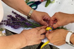 08_levandula_pc.jpg||
