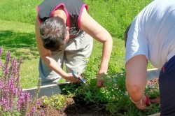 02_zber_byliniek_pc.jpg||