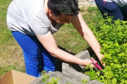 05_zber_byliniek_pc.jpg||