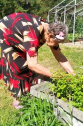 06_zber_byliniek_pc.jpg||