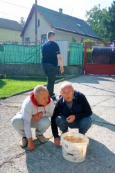 01___chodniky_pc.jpg||