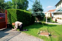 04___chodniky_pc.jpg||