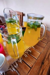 02_letne_dni_pc.jpg||