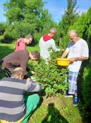 02___ribezlovy_kolac_pc.jpg||