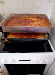 12___ribezlovy_kolac_pc.jpg||