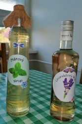 01_sirup_komunita_pc.jpg||