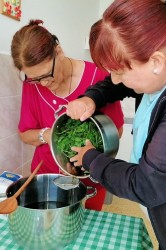 03_sirup_komunita_pc.jpg||