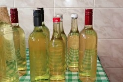 06_sirup_komunita_pc.jpg||