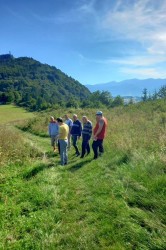 02_prechadzka_pc.jpg||