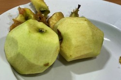 05_jablka_s_piskotami_pc.jpg||