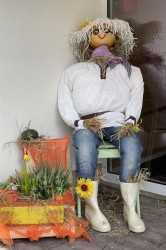 12_jesenn_v_zdoba.jpg||