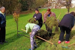 02_prace_v_zahrade_k_pc.jpg||