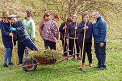 05_prace_v_zahrade_k_pc.jpg||