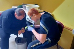 03_pecieme_placky_pc.jpg||