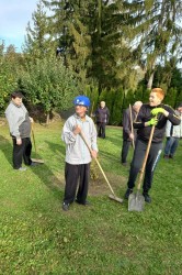 06_uprava_zahrady.jpg||